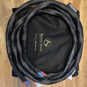 Kubala Sosna Elation HP speaker