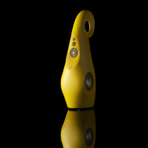 Vivid Audio Giya G1 spirit