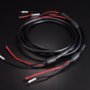 TiGLON MSS-DF100SP-HSE