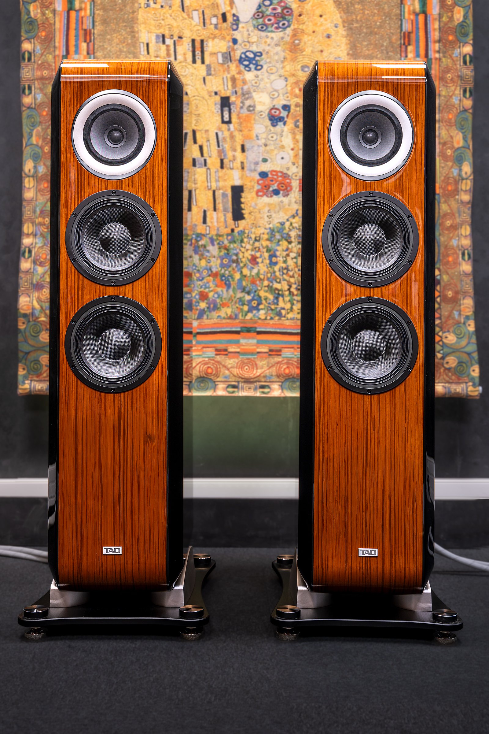 TAD Grand évolution One (GE1) – Image 3